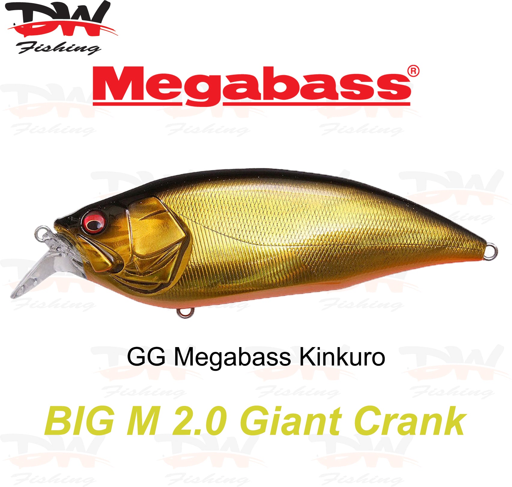 Megabass Big-M 2.0 floating hard body diving lure- single lure colour  GG Megabass Kinkuro