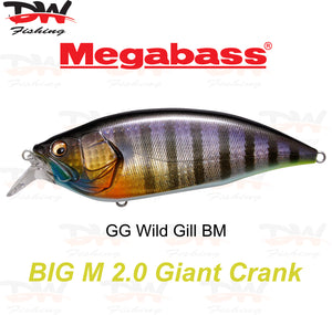 Megabass Big-M 2.0 floating hard body diving lure- single lure colour GG Wild Gill BM