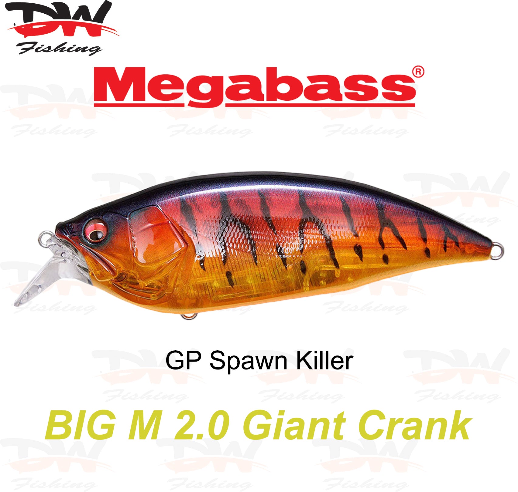 Megabass Big-M 2.0 floating hard body diving lure- single lure colour GP Spawn Killer