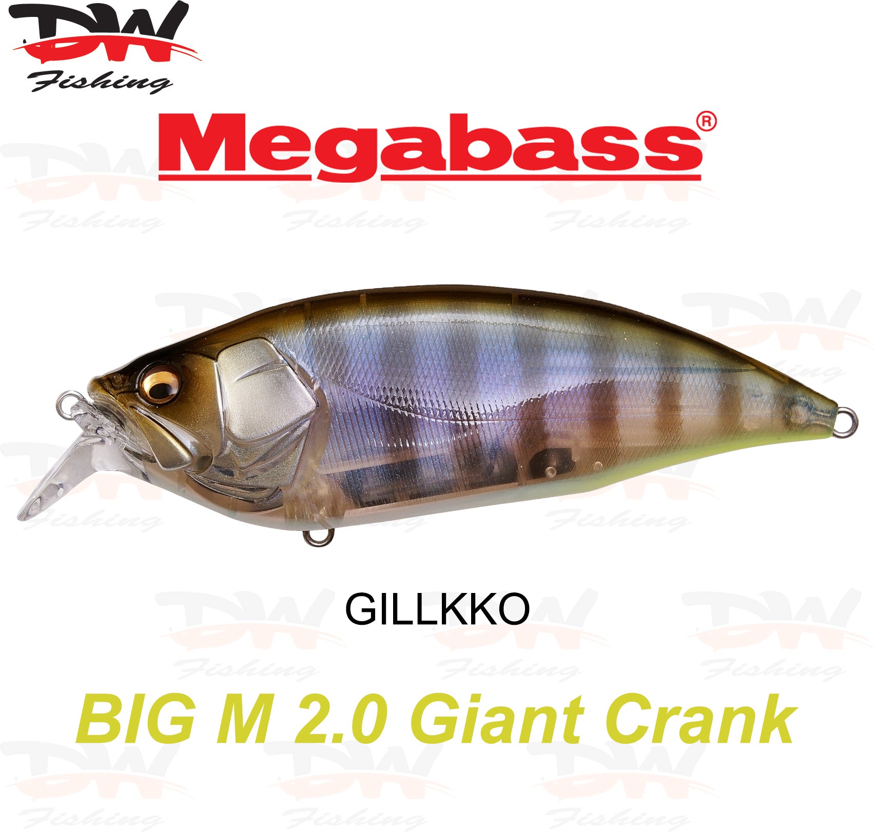 Megabass Big-M 2.0 floating hard body diving lure- single lure colour GILLKKO
