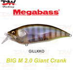 Load image into Gallery viewer, Megabass Big-M 2.0 floating hard body diving lure- single lure colour GILLKKO
