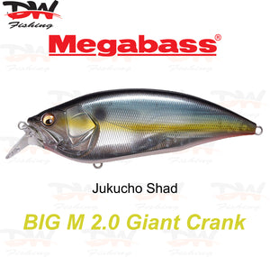 Megabass Big-M 2.0 floating hard body diving lure- single lure colour Jukucho Shad
