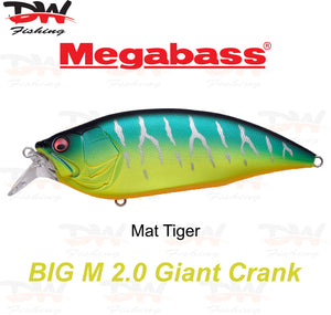 Megabass Big-M 2.0 floating hard body diving lure- single lure colour Mat Tiger