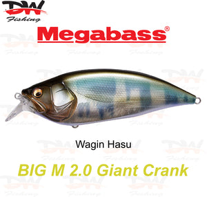 Megabass Big-M 2.0 floating hard body diving lure- single lure colour Wagin Hasu