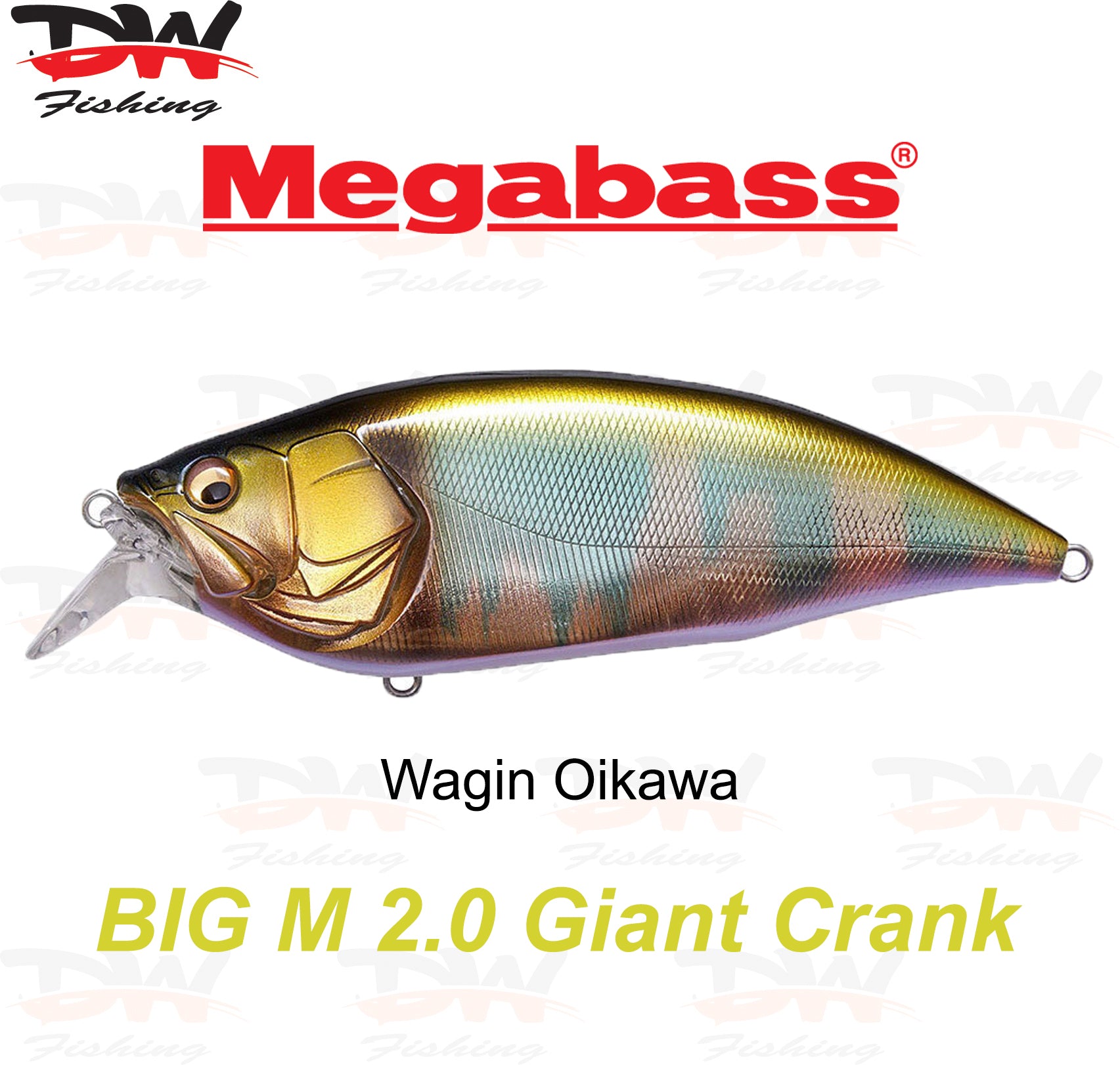 Megabass Big-M 2.0 floating hard body diving lure- single lure colour Wagin Oikawa