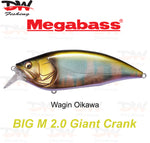 Load image into Gallery viewer, Megabass Big-M 2.0 floating hard body diving lure- single lure colour Wagin Oikawa

