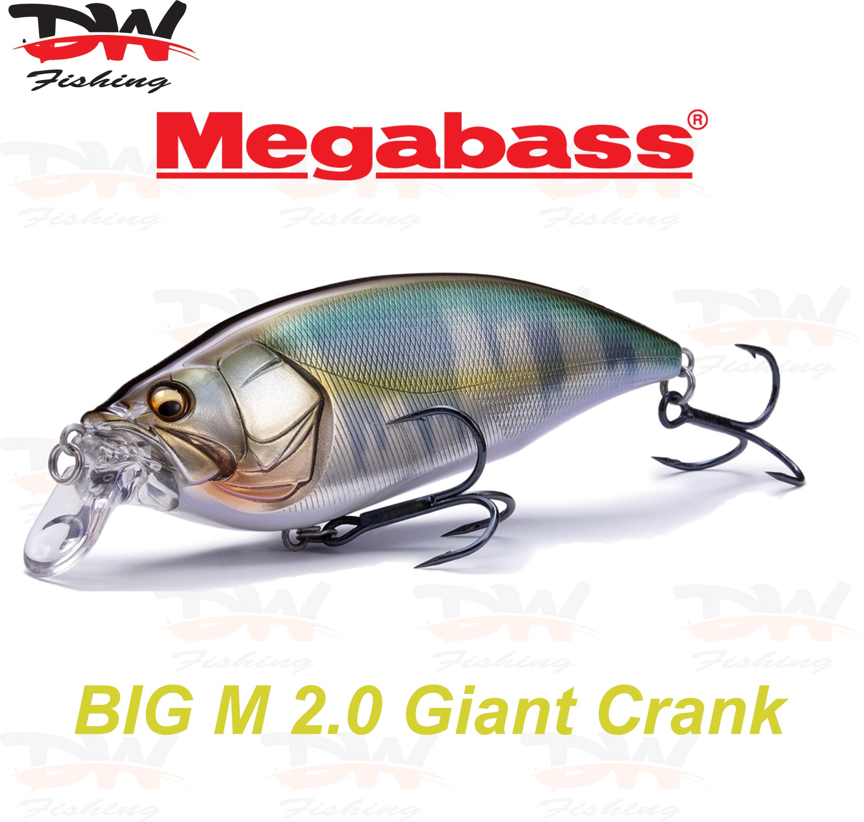 Megabass Big M 2.0 Giant Crank 126mm Lure  Hard Body Diving Lure – Dave's  Tackle Bag