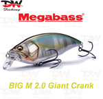 Load image into Gallery viewer, Megabass Big-M 2.0 floating hard body diving lure cover picture
