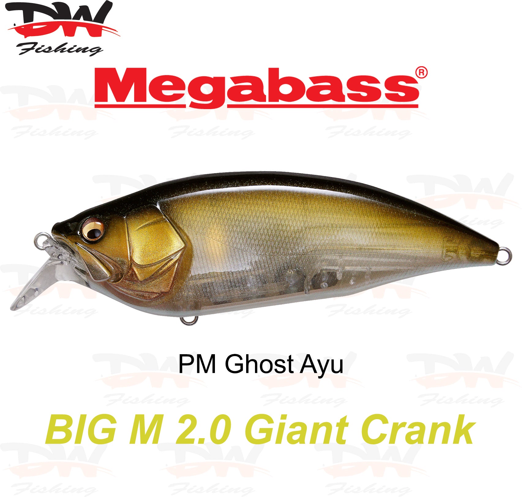 Megabass Big-M 2.0 floating hard body diving lure- single lure colour PM Ghost Ayu
