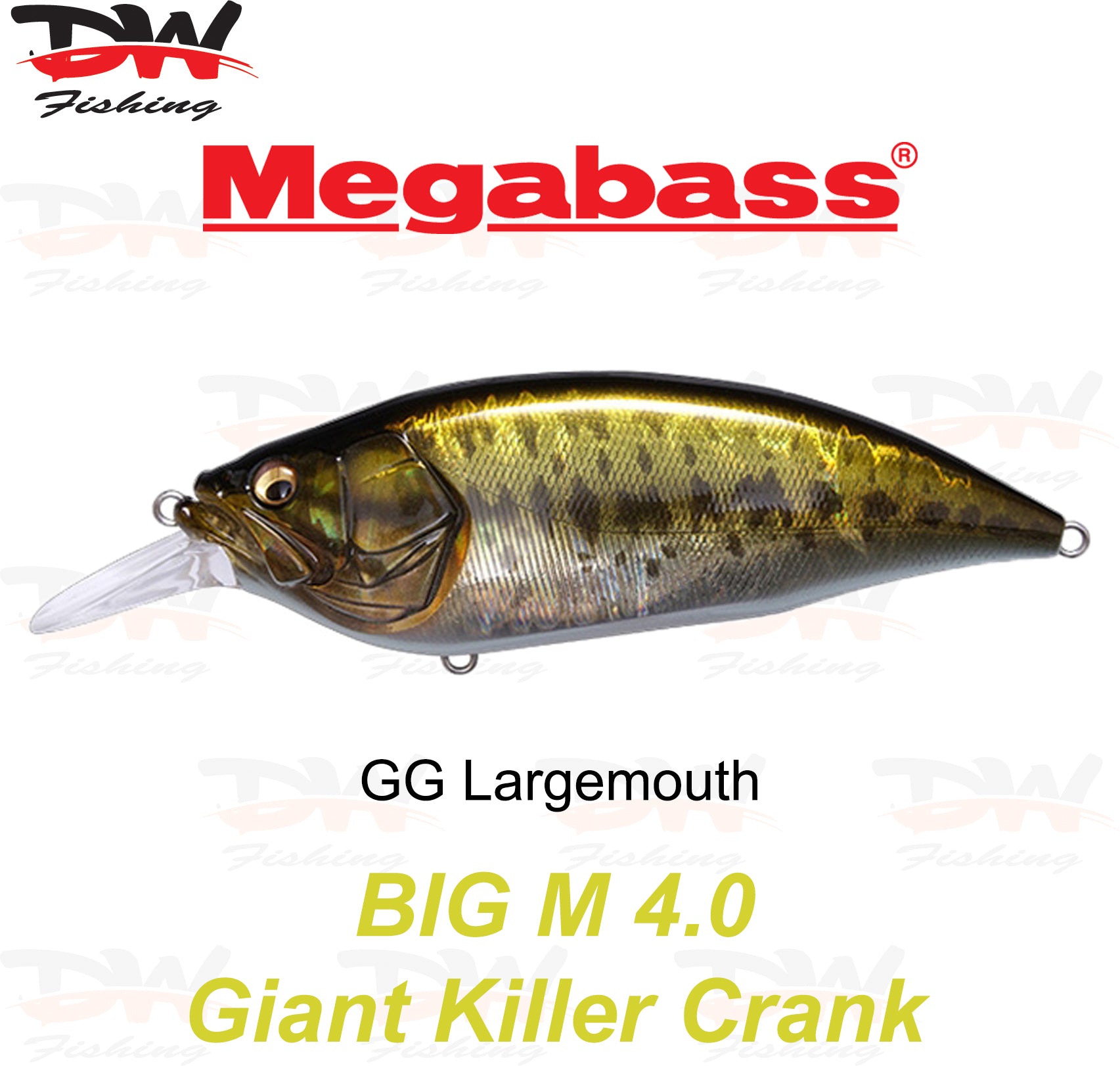 Megabass Big-M 4.0 floating hard body diving lure- single lure colour GG Largemouth
