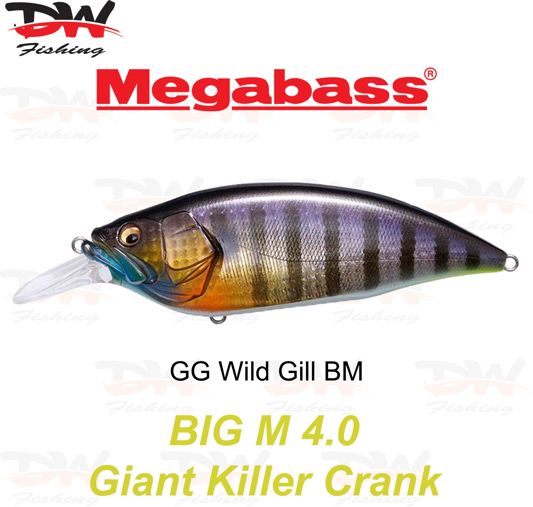 Megabass Big-M 4.0 floating hard body diving lure- single lure colour GG Wild Gill BM