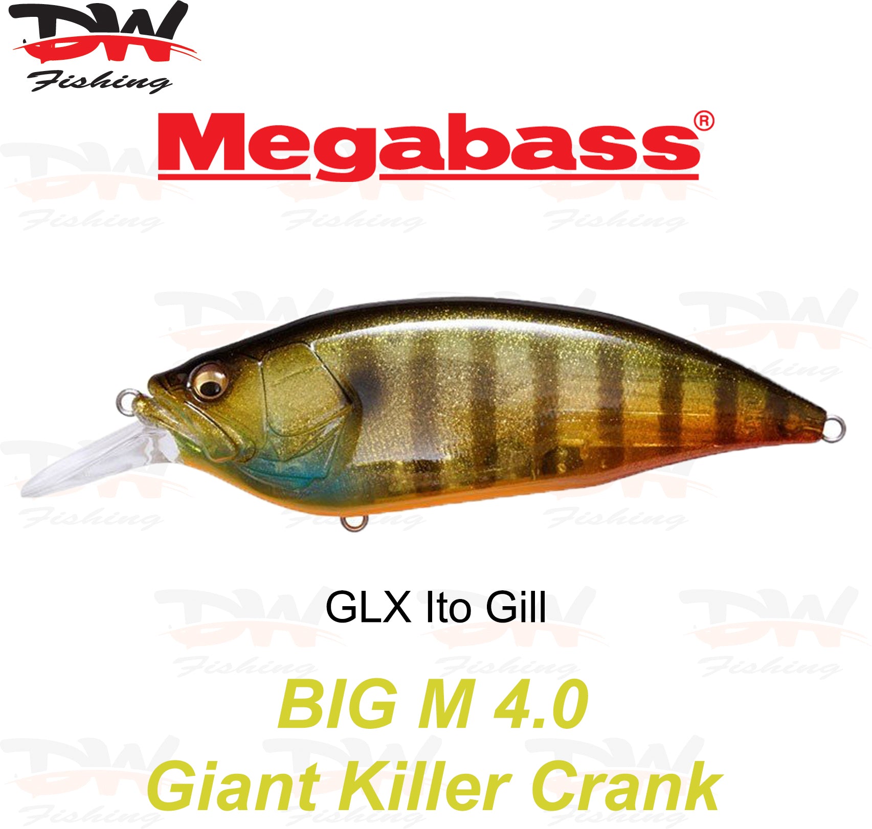 Megabass Big-M 4.0 floating hard body diving lure- single lure colour GLX Ito Gill