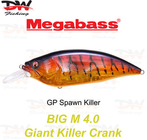 Megabass Big-M 4.0 floating hard body diving lure- single lure colour GP Spawn Killer