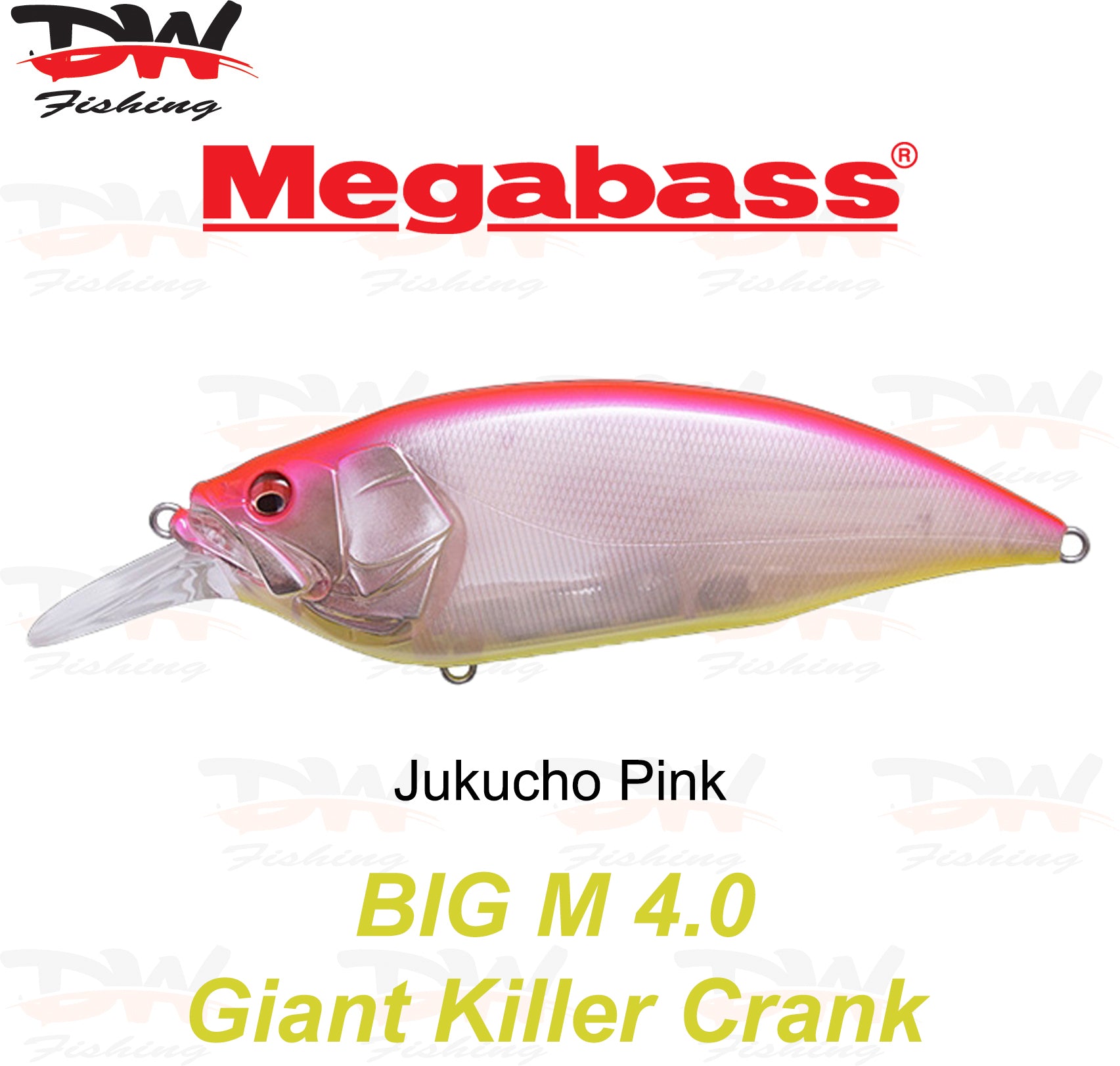 Megabass Big-M 4.0 floating hard body diving lure- single lure colour Jukucho Pink