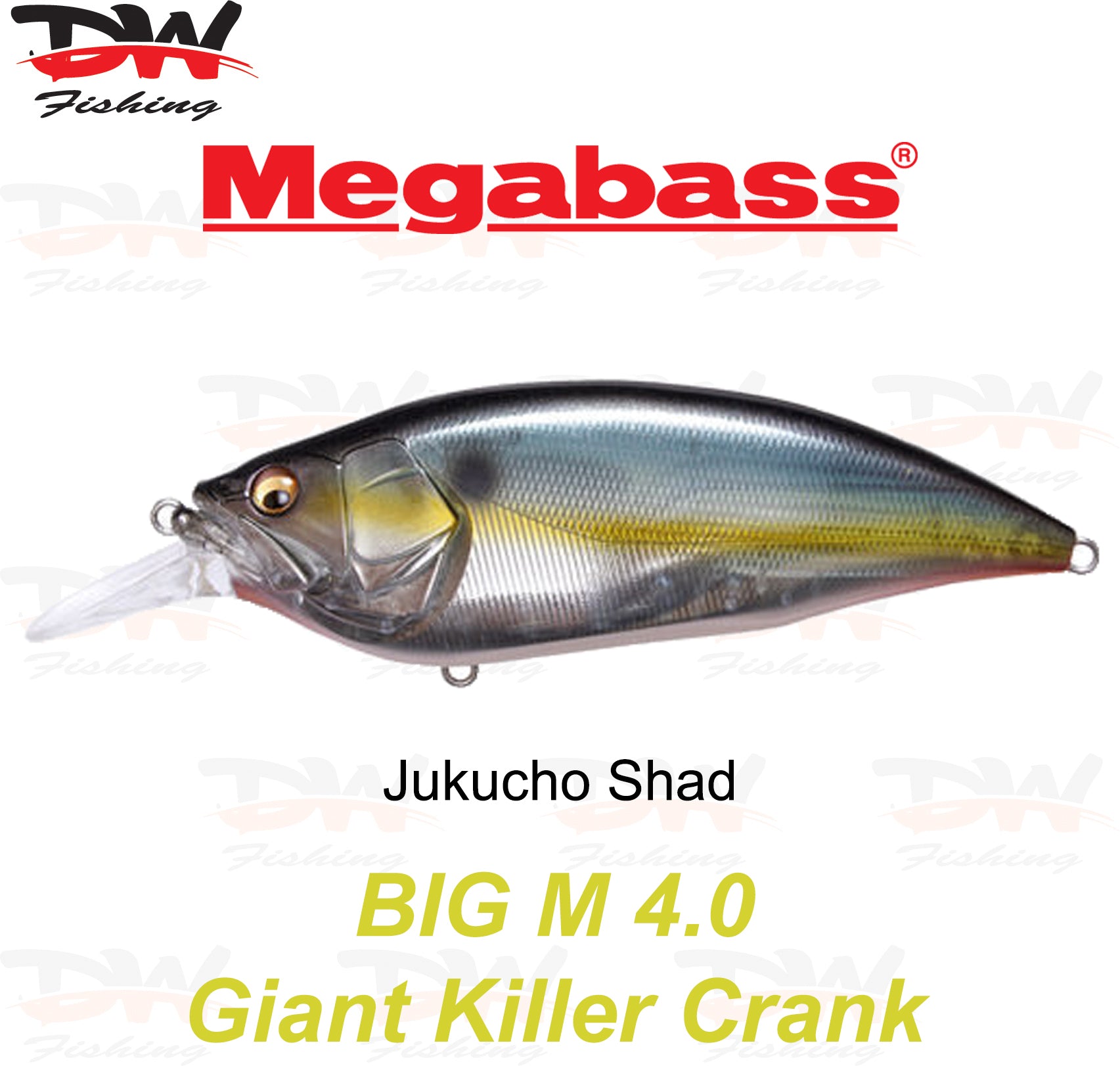 Megabass Big-M 4.0 floating hard body diving lure- single lure colour Jukucho Shad