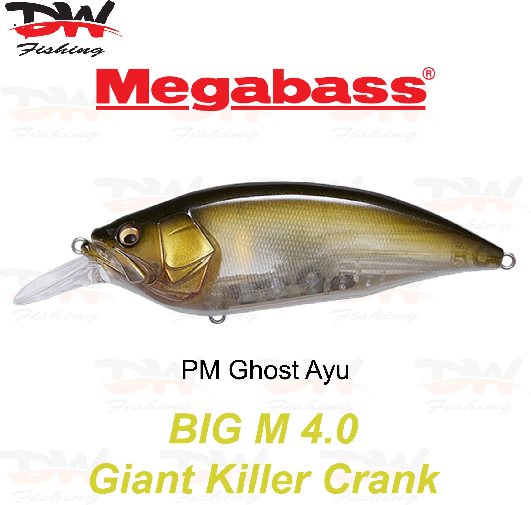 Megabass Big-M 4.0 floating hard body diving lure- single lure colour PM Ghost Ayu