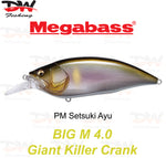 Load image into Gallery viewer, Megabass Big-M 4.0 floating hard body diving lure- single lure colour PM Setsuki Ayu
