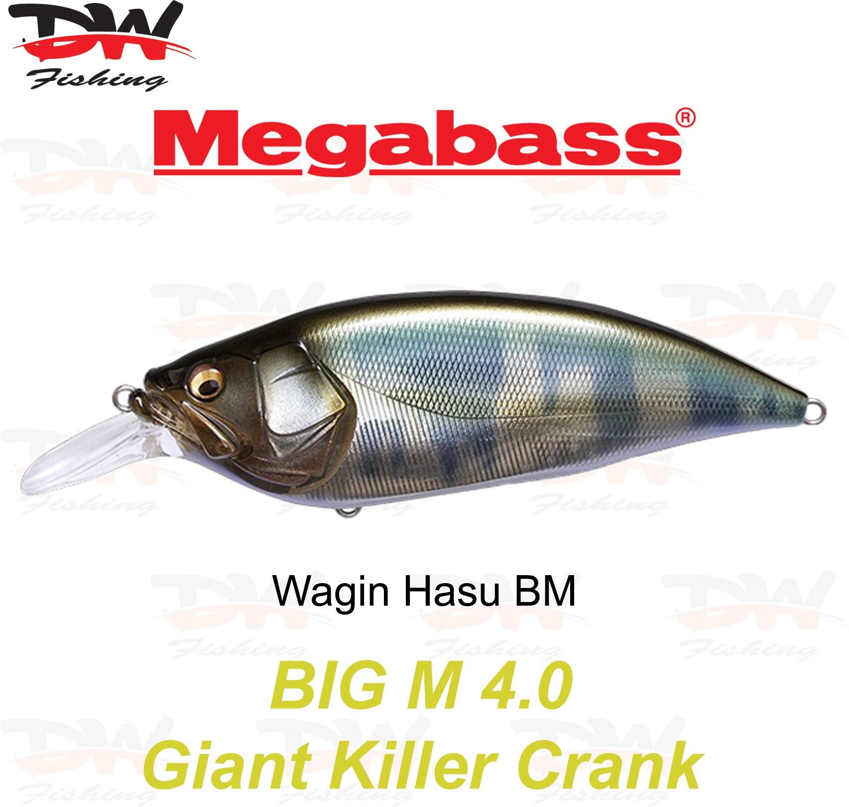 Megabass Big-M 4.0 floating hard body diving lure- single lure colour Wagin Hasu BM