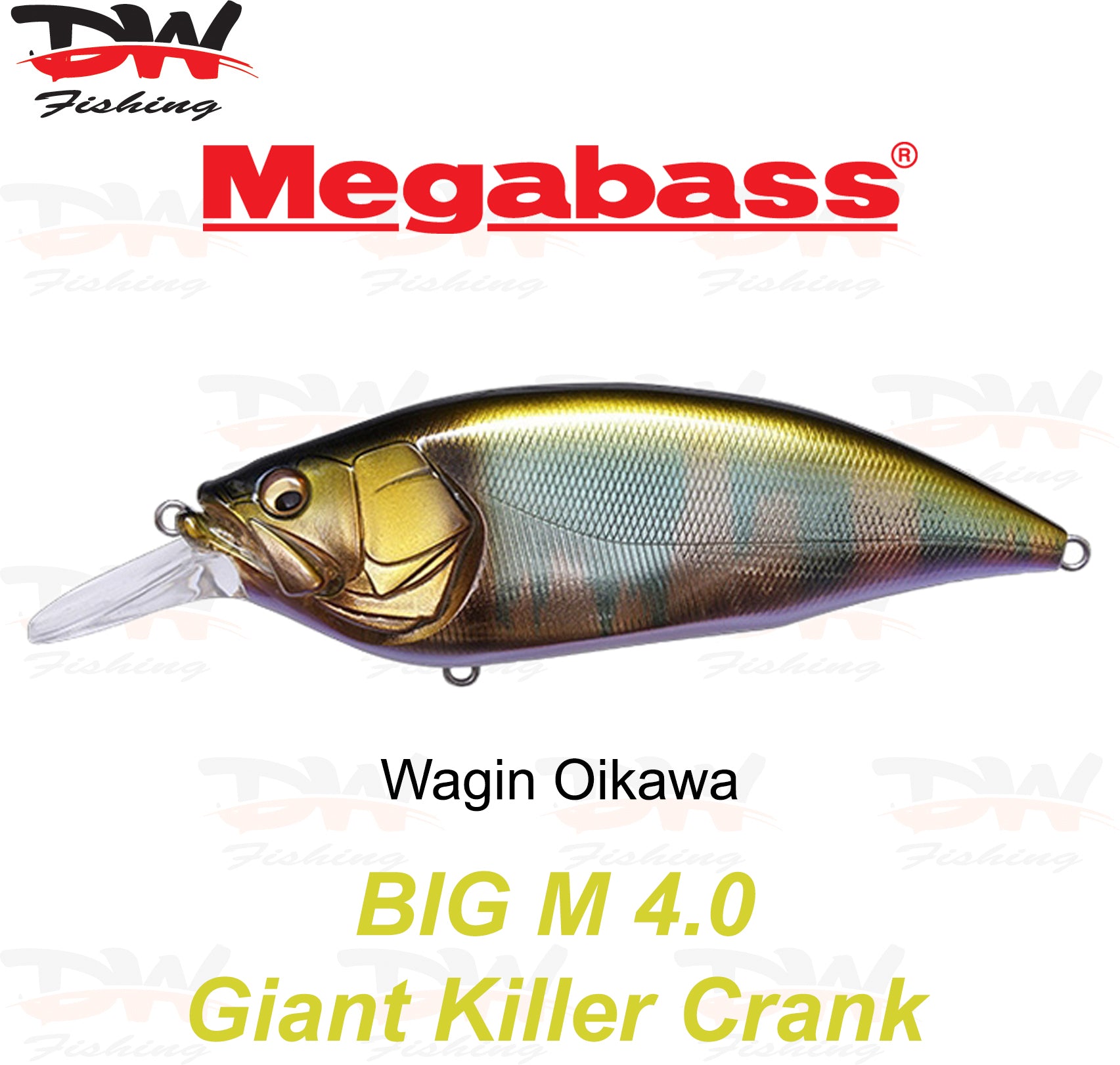 Megabass Big-M 4.0 floating hard body diving lure- single lure colour Wagin Oikawa