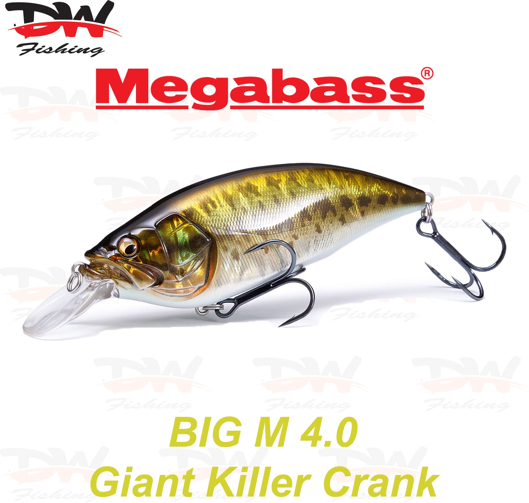 Megabass Big-M 4.0 floating hard body diving lure cover picture