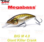 Load image into Gallery viewer, Megabass Big-M 4.0 floating hard body diving lure cover picture
