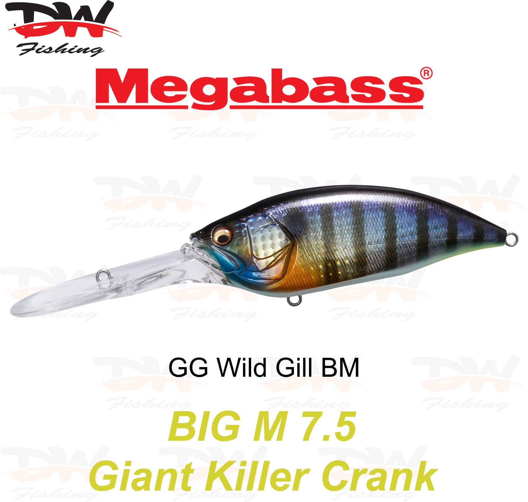 Megabass Big-M 7.5 floating hard body diving lure- single lure colour GG Wild Gill BM
