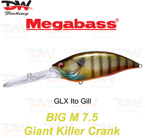Megabass Big-M 7.5 floating hard body diving lure- single lure colour GLX Ito Gill