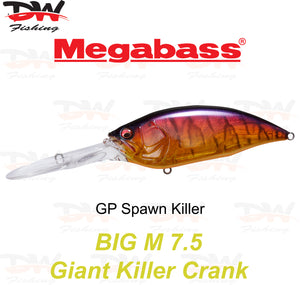Megabass Big-M 7.5 floating hard body diving lure- single lure colour GP Spawn Killer