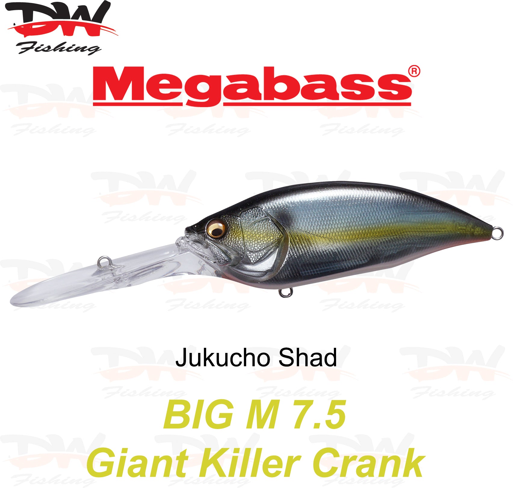 Megabass Big-M 7.5 floating hard body diving lure- single lure colour Jukucho Shad