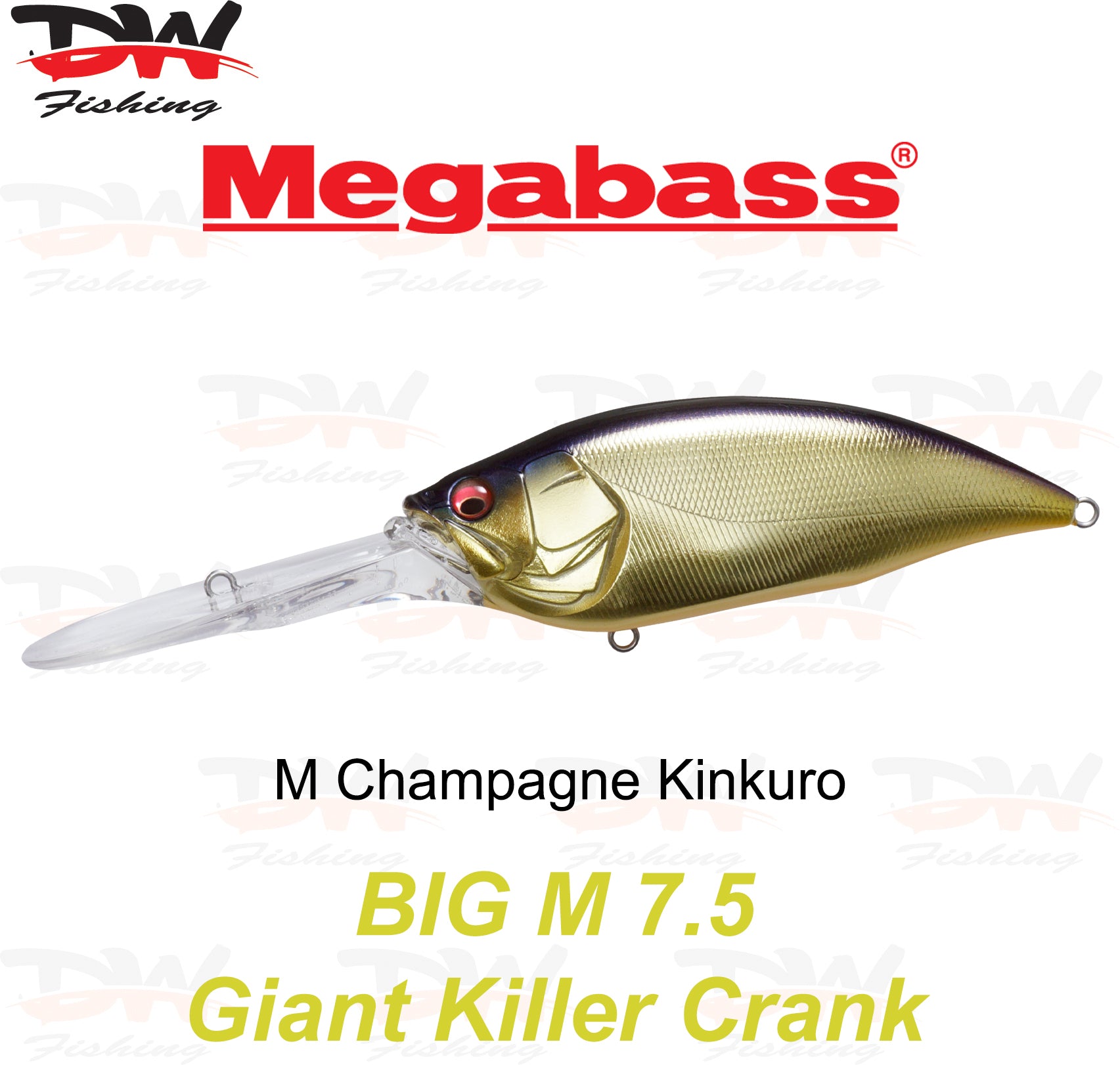 Megabass Big-M 7.5 floating hard body diving lure- single lure colour M Champagne Kinkuro