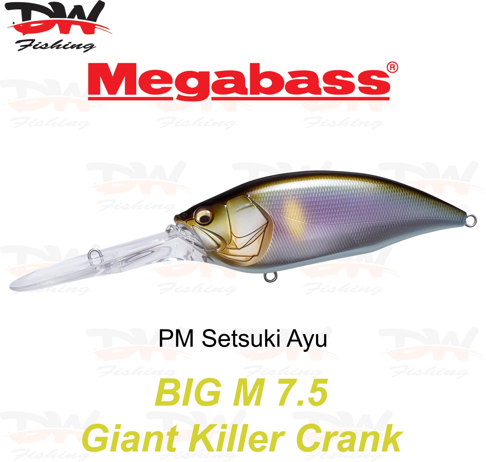 Megabass Big-M 7.5 floating hard body diving lure- single lure colour PM Setsuki Ayu