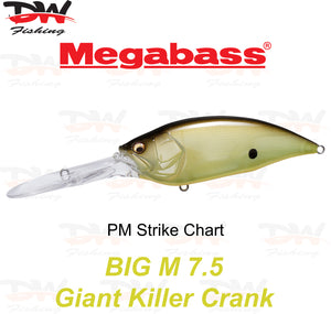 Megabass Big-M 7.5 floating hard body diving lure- single lure colour PM Strike Chart