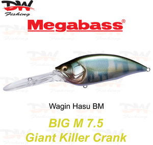 Megabass Big-M 7.5 floating hard body diving lure- single lure colour Wagin Hasu BM