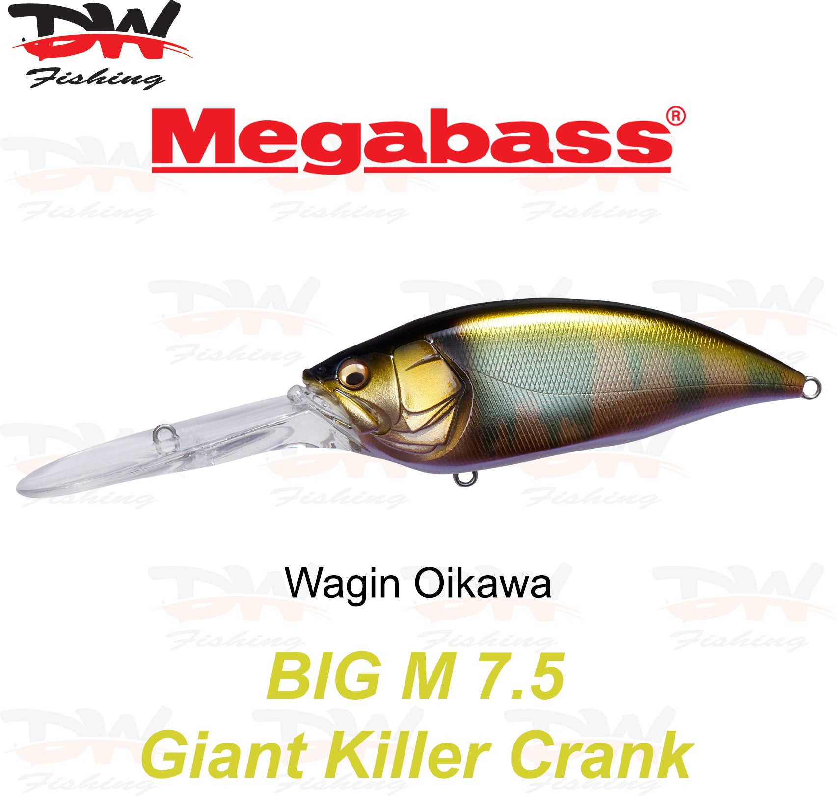 Megabass Big-M 7.5 floating hard body diving lure- single lure colour Wagin Oikawa
