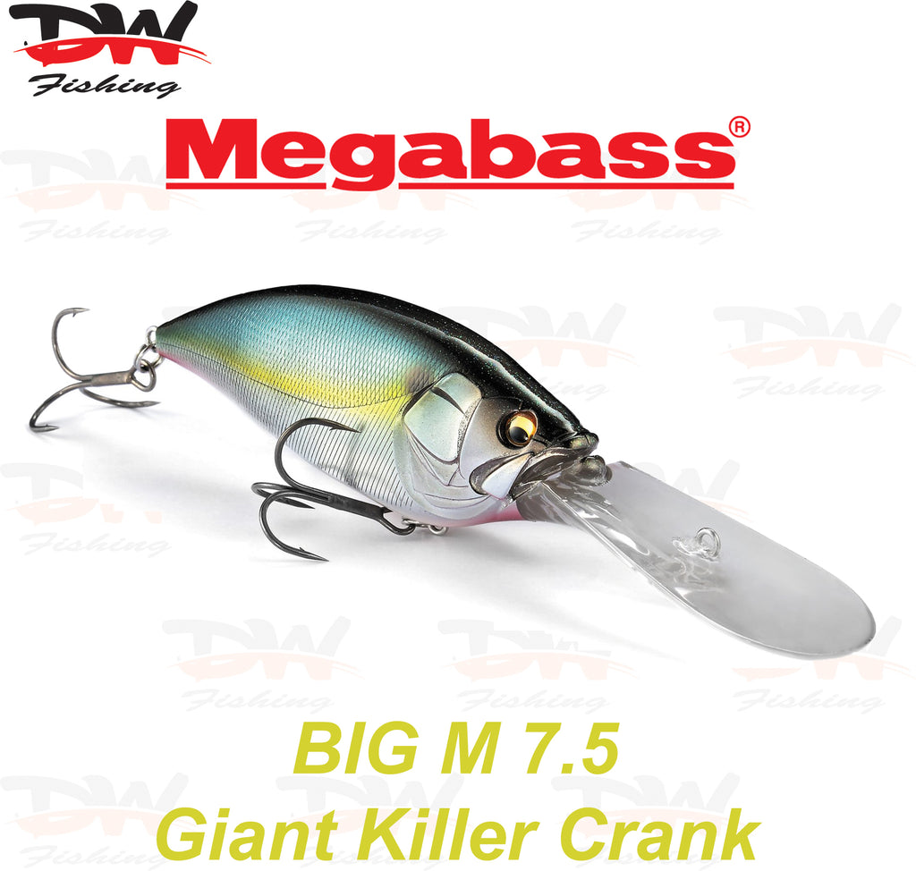 Megabass Big-M 7.5 floating hard body diving lure cover picture