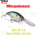 Load image into Gallery viewer, Megabass Big-M 7.5 floating hard body diving lure cover picture
