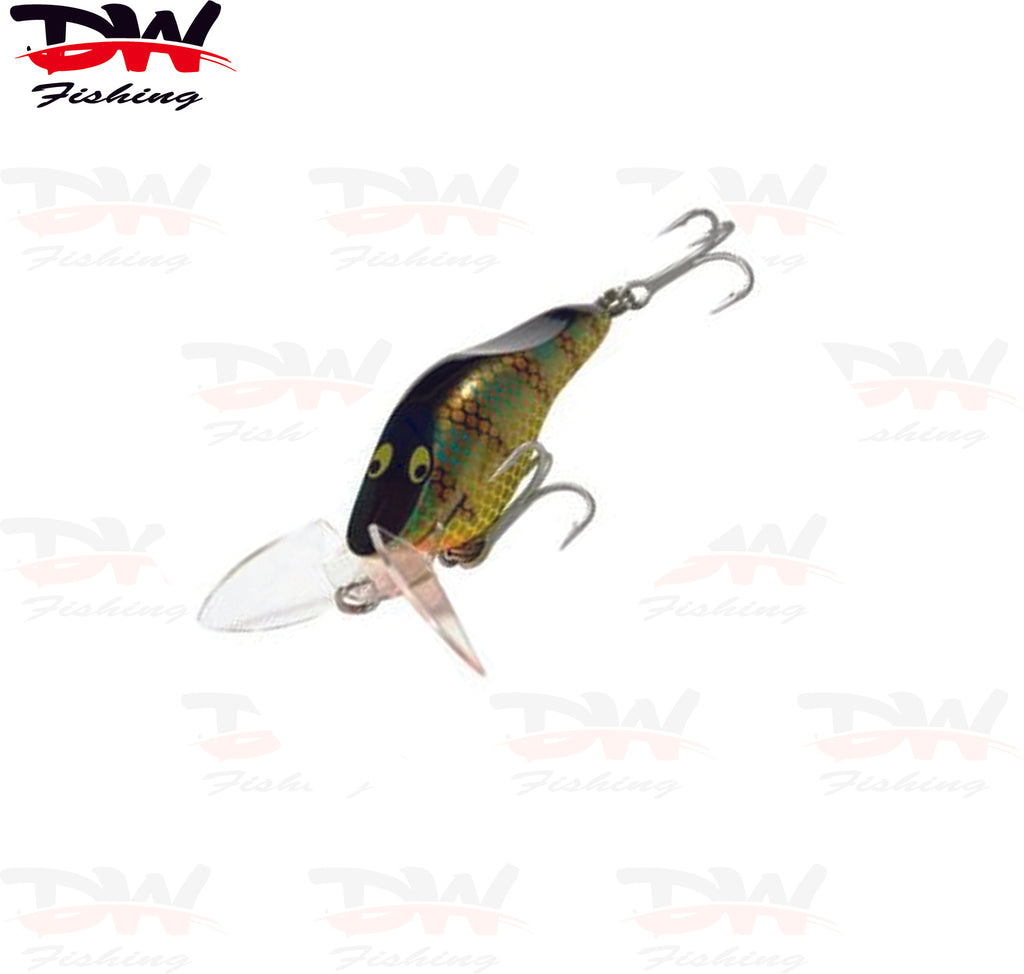 Rupes sound wave surface lure bass lure