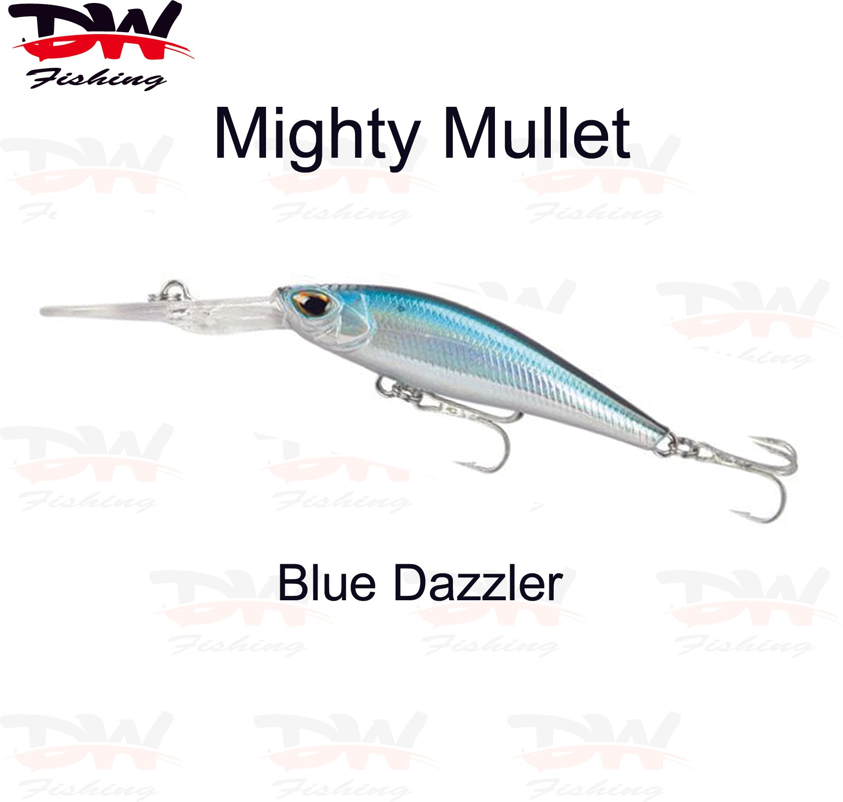 Saltwater Diving Lure, Fishing Lure Online