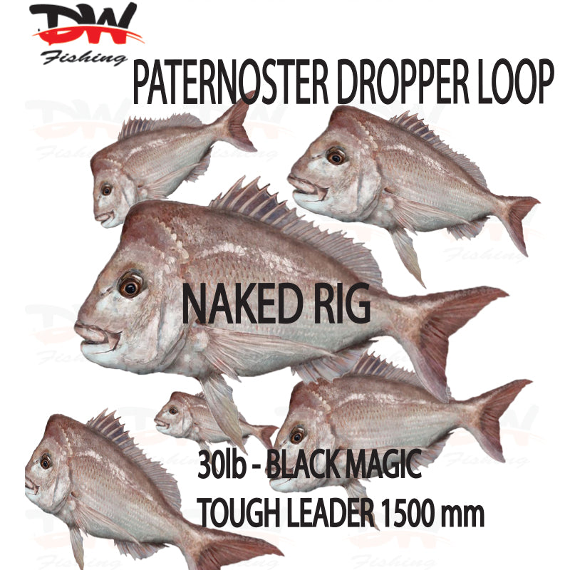 Paternoster Dropper Rig, Naked Rig, 2 Arm Dropper, Black Magic Tough Leader