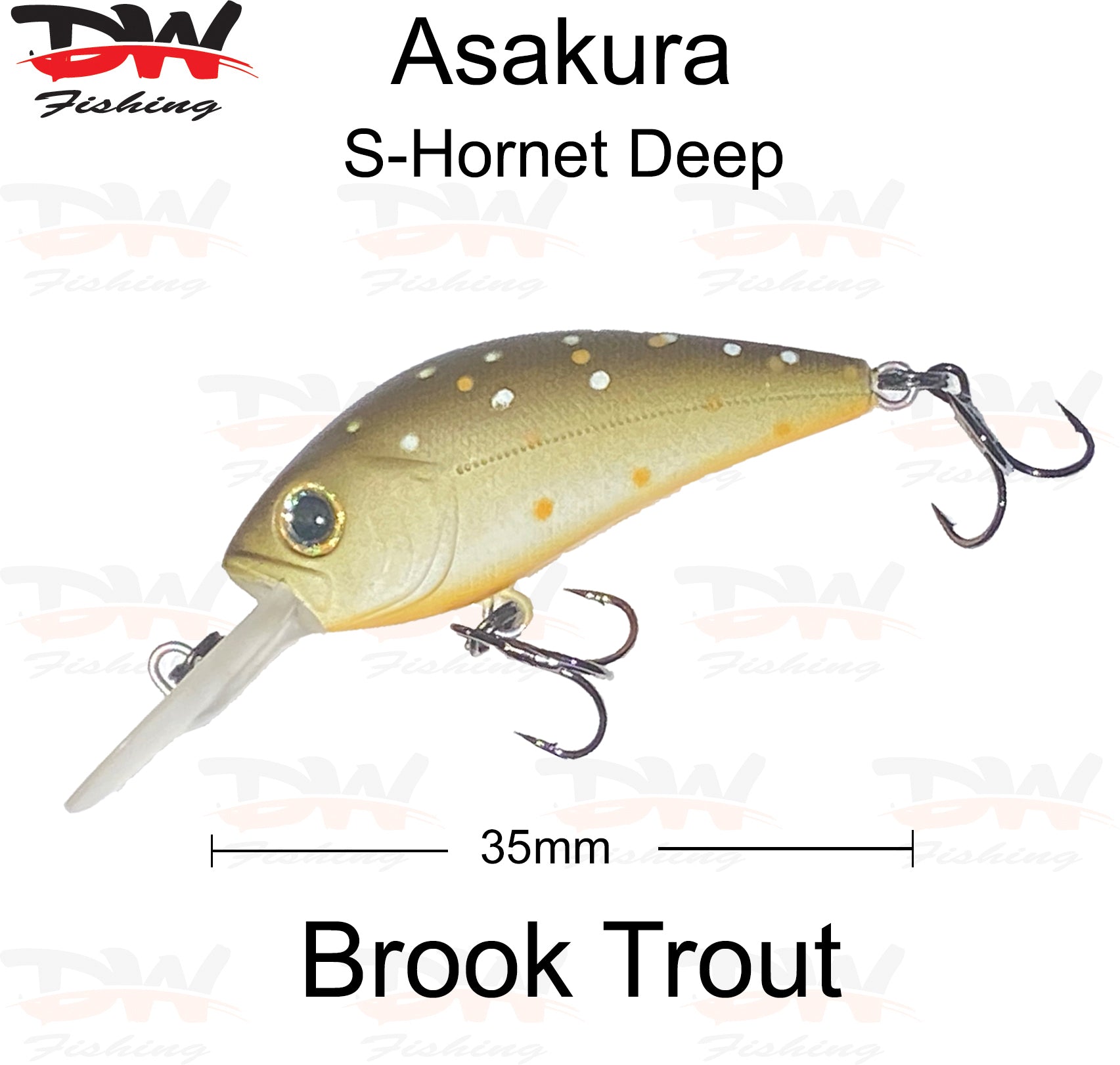 Asakura S-Hornet 3DR-Floating lure colour brook trout
