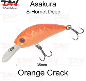 Asakura S-Hornet 3DR-Floating lure colour orange crack