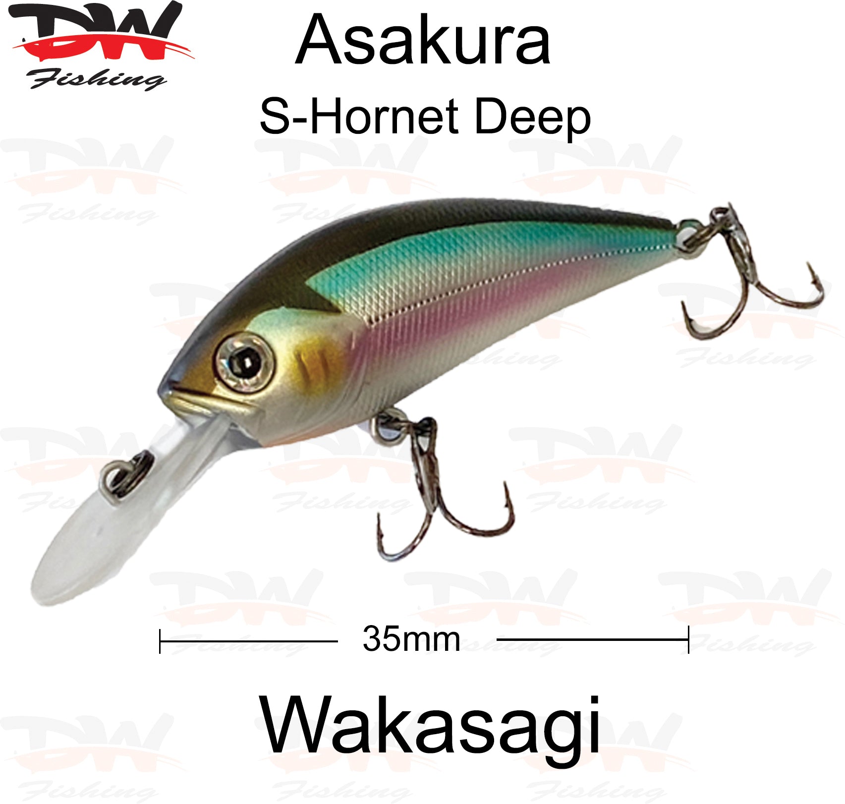 Asakura S-Hornet 3DR-Floating lure colour wakasagi